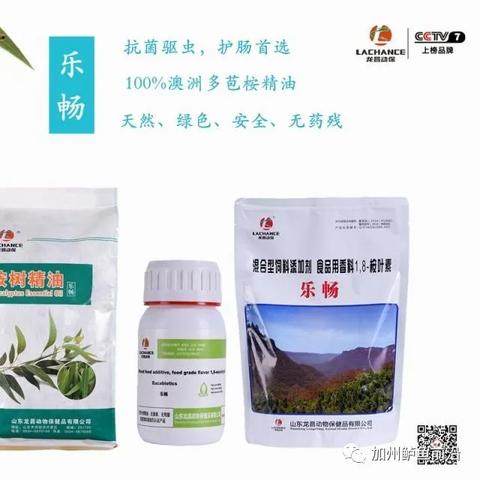 澳洲前十名杀虫专家榜单揭晓