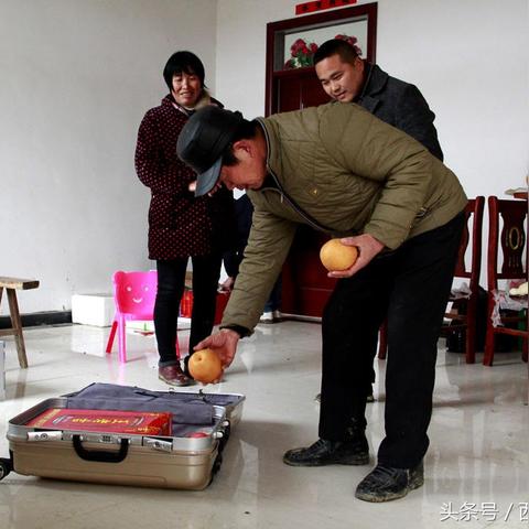 正宗梨饮料排名前十名品牌及市场深度解析