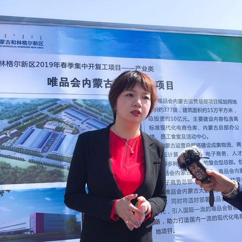 内蒙古电子商务产业蓬勃发展，电商平台新闻头条揭秘内幕