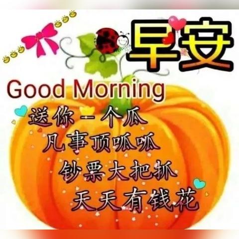 福星励志语录短句大全及图片分享