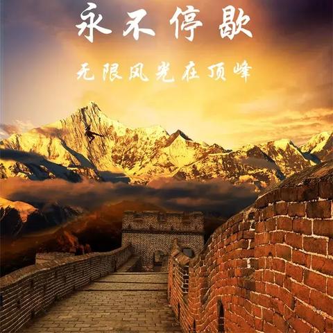 挑战极限，超越自我，野马奔跑的励志之路