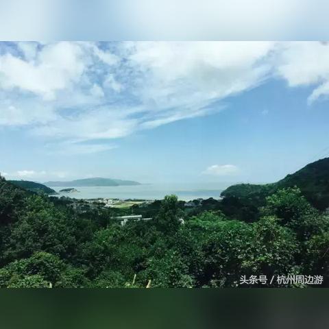 海岛螃蟹排名前十名及其精美图片展示