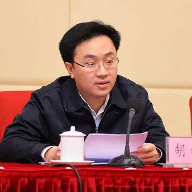 惠来新闻最新动态及直播消息速递