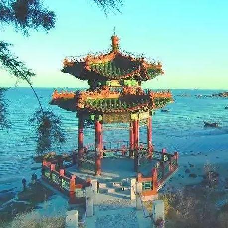 张北县政府新闻头条，县域经济发展新动向与民生改善新举措揭秘最新消息