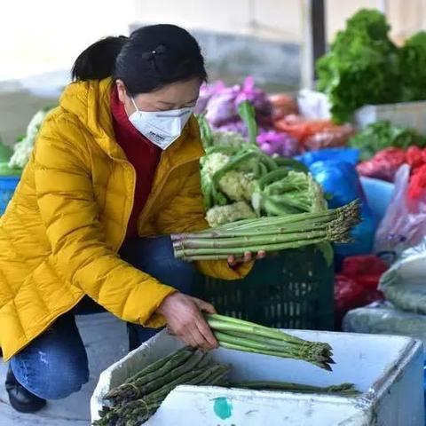 农业套餐最新规定标准详解，规定标准价格及费用概述