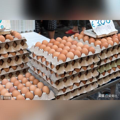 随州今日最新猪价行情分析与价格表概览