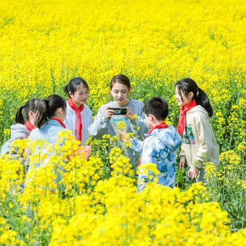 仙女镇今日状况最新报道及视频更新