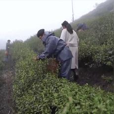 今日余杭最新消息概览，新闻动态更新