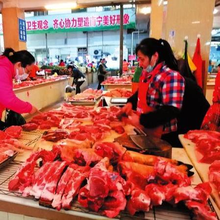 今日瘦肉价格行情分析与走势