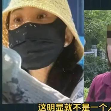 今日黑料揭秘，深度剖析数据背后的真相，在线观看最新黑料曝光