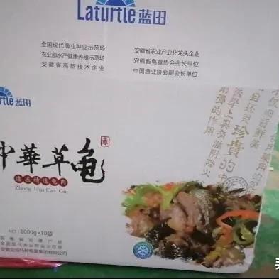 XXXX年龟板最新价格行情分析与今日龟板价格一览