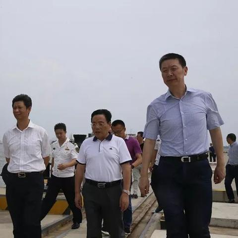 码头今日现状分析报告，最新报告与消息汇总