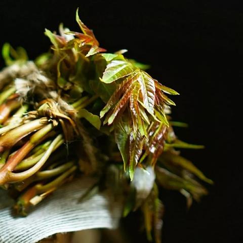 丽江买菜大妈身份揭秘及最新消息全面解读视频
