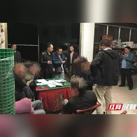 今日桑植新闻联播，最新动态与消息汇总