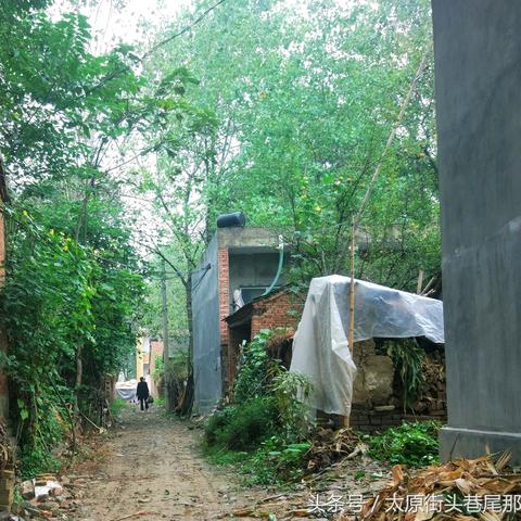 平舆小孩偷烟事件最新报道及消息更新，视频曝光引发关注热议
