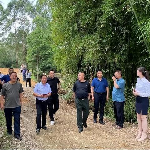 荣县驿家民宿最新价格表及详细介绍揭秘