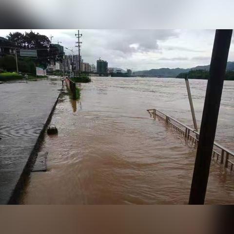 广西梧州西江实时水位报告及查询服务
