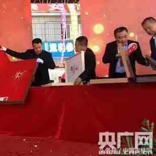 清河参王拍卖信息网最新动态与消息解析