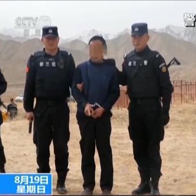 西宁公安最新抓捕行动揭秘，案件与抓捕细节深度解析