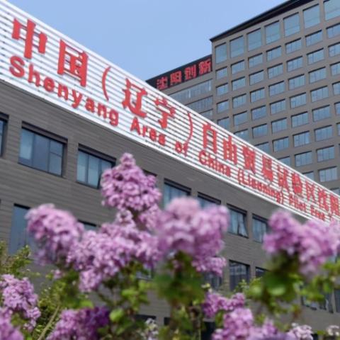 锦州港今日生猪价格最新动态及行情分析