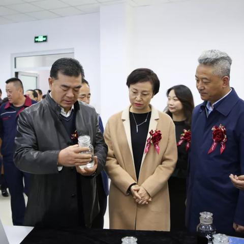 今日煤炭价格张掖，深度分析与市场洞察及最新价格表