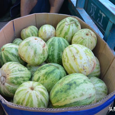 永年县粮食收购价格表最新分析与消息解读