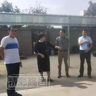 高邑未来建设的最新动态，消息文章与视频播放