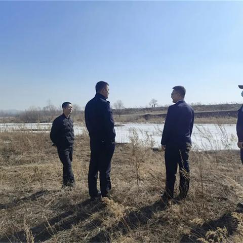 宝矿今日煤炭价格分析与展望，最新价格表及趋势预测