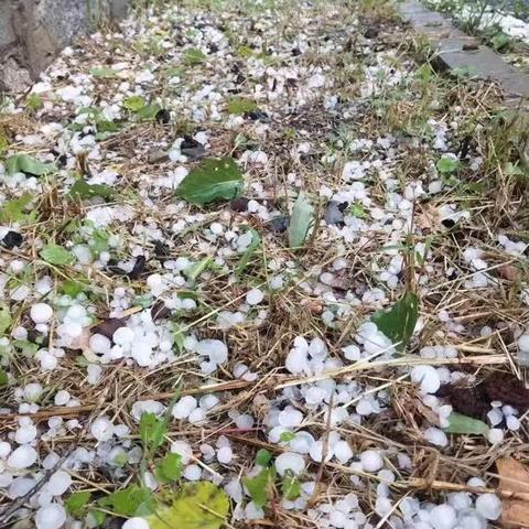西藏今日大风视频，最新天气观察报告
