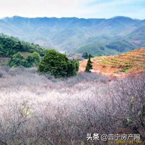 普宁撞栏杆事件揭秘，细节、反思与未来展望——最新视频播报