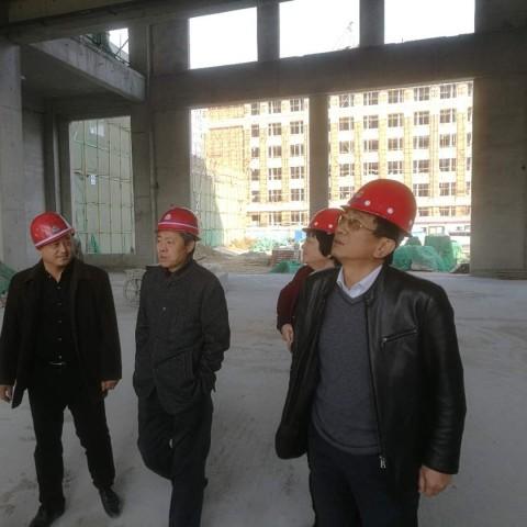 今日招远新闻最新动态，视频报道与直播汇总