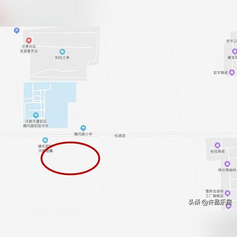 许昌豆价最新报价及分析查询