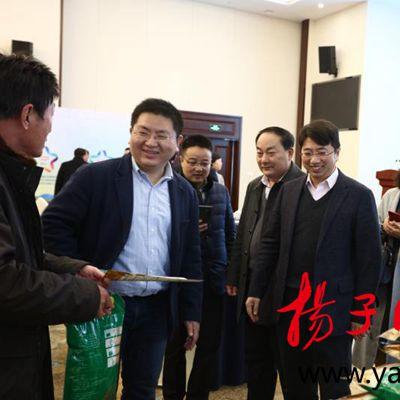 盐城今日大米价格一览，最新价格表、图片及分析