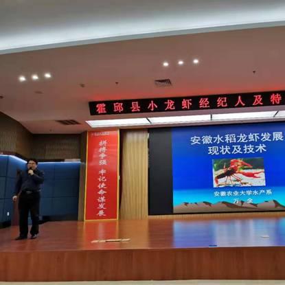 安徽今日龙虾价格最新行情报告查询