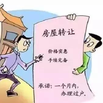 栾城买房直播视频大全，最新房地产市场趋势解读与购房指南