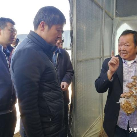 雄壁中学优秀教师名单最新更新及消息速递