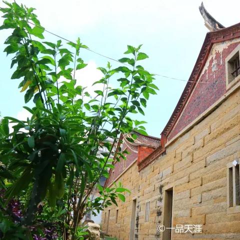 闽南条石行情走势分析与最新走势图揭秘
