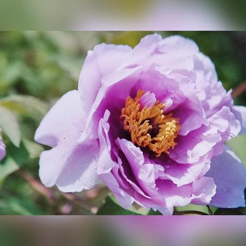 谷雨时节，农业生产与生态保护和谐共生，今日新闻聚焦报道视频分享