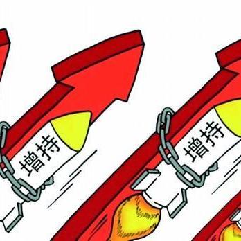 今日沪指最新视频分析，市场走势解读与数据深度剖析