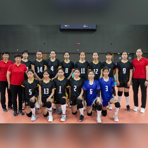 深圳女排今日最新消息速递