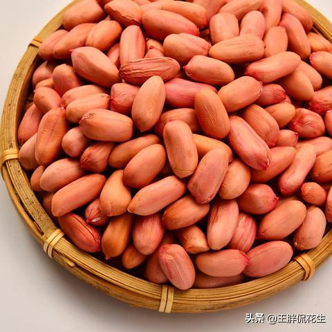 杞县花生今日最新价格及市场分析概览，最新价格表发布