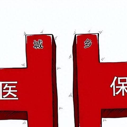 城乡医疗保险2024年最新规定概览，新政策解读与变化分析