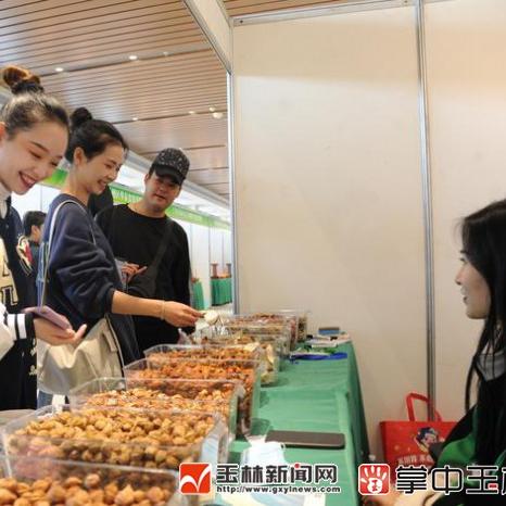 玉林香料行情最新动态，今日价格分析与消息更新