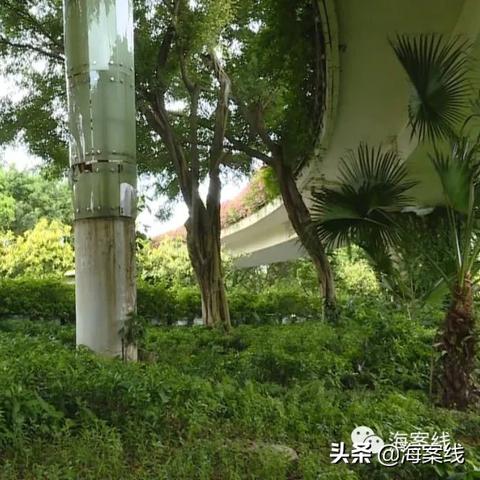 南宁今日封路最新情况及消息更新