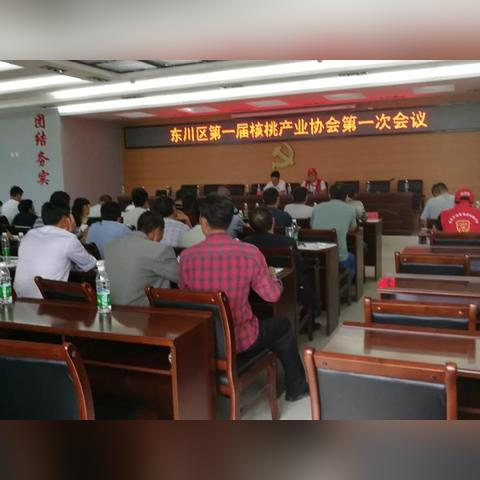 云南包菜价格今日行情更新，最新动态与价格走势分析