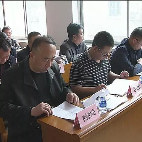 今日限行最新视频解读与影响分析，限行动态及播放热度探讨
