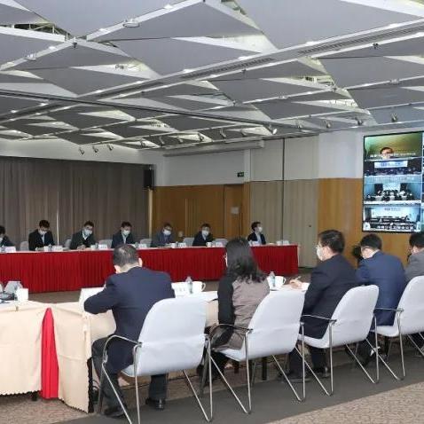 今日肺炎最新播报，实时更新与视频汇总