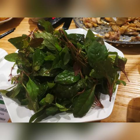 郴州探店小鱼儿最新动态揭秘，神秘身份及最新消息视频曝光