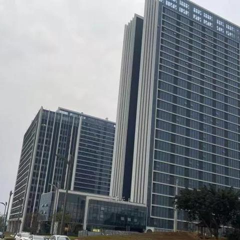 今日东安湖开园最新消息及分析，开园情况一览