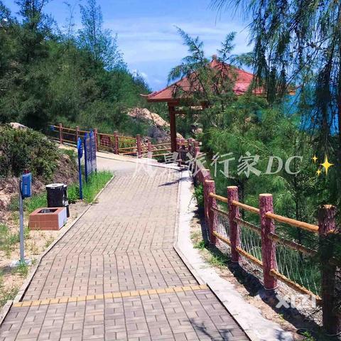 惠东海龟湾最新新闻报道与消息更新